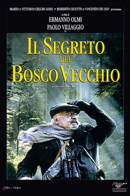 Pôster oficial de O Segredo do Bosque Velho