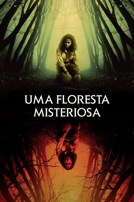 Pôster oficial de Uma Floresta Misteriosa