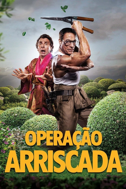 Pôster oficial de Operação Arriscada