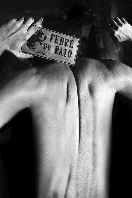 Pôster oficial de Febre do Rato