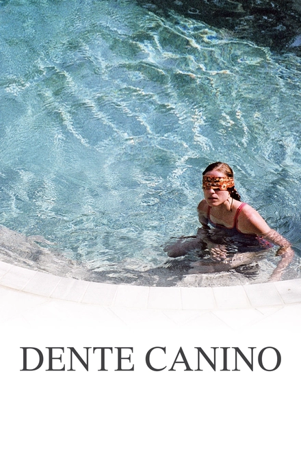 Pôster oficial de Dente Canino