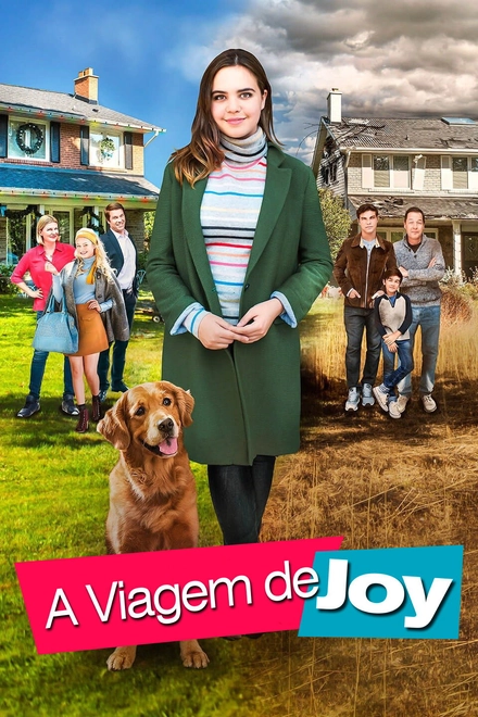 Pôster oficial de A Viagem de Joy