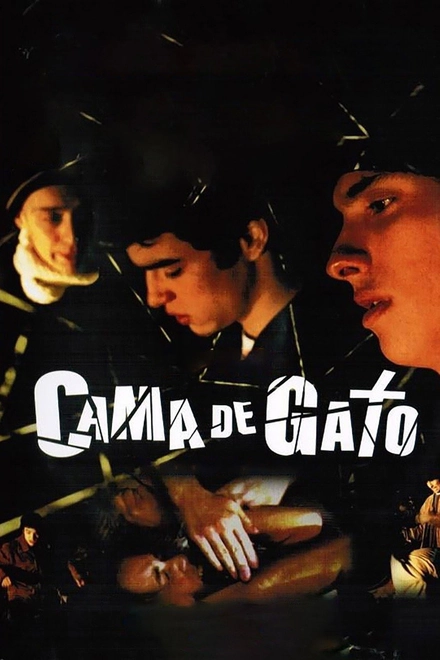Pôster oficial de Cama de Gato