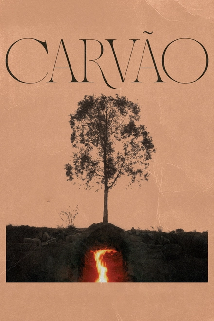 Pôster oficial de Carvão
