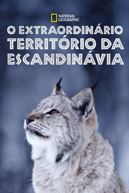 Pôster oficial de O Extraordinário Território da Escandinávia