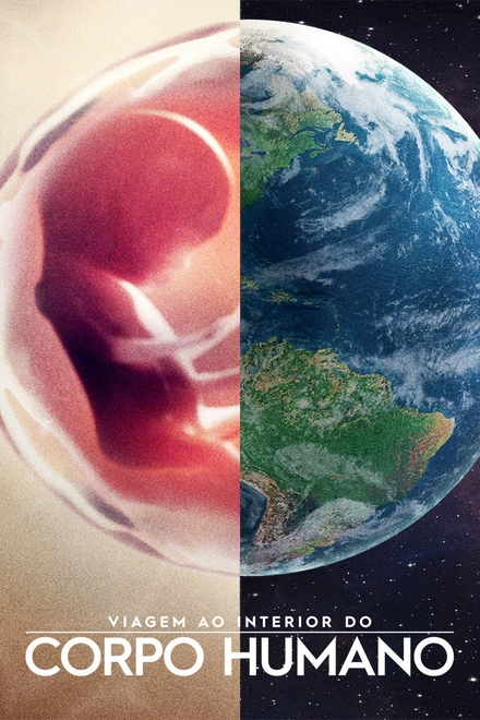 Pôster oficial de Corpo Humano: Nosso Mundo Interior