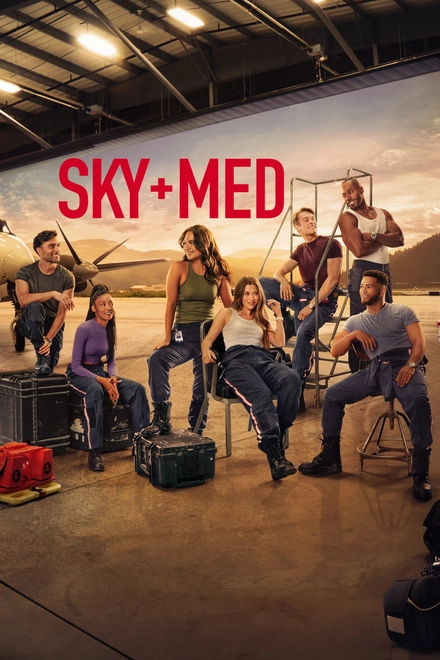 Pôster oficial de SkyMed