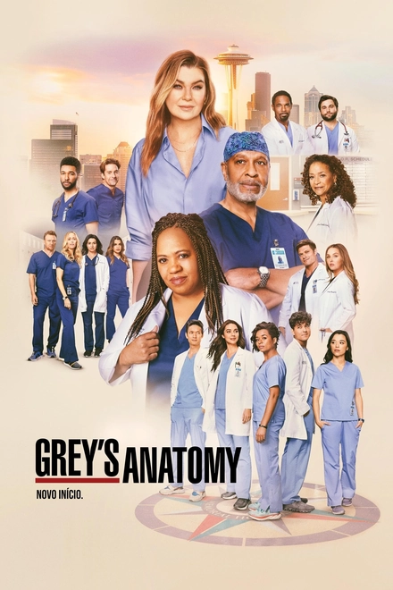 Pôster oficial de Grey's Anatomy