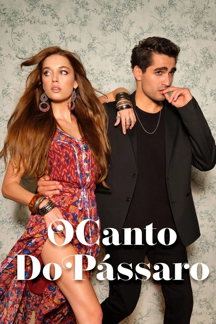 Pôster oficial de O Canto do Pássaro