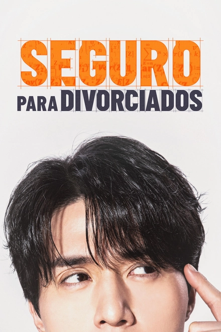 Pôster oficial de Seguro para Divorciados