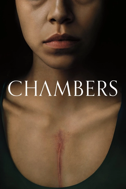 Omelete | Chambers