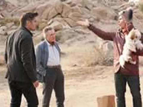 Sete Psicopatas e um Shih Tzu | Crítica