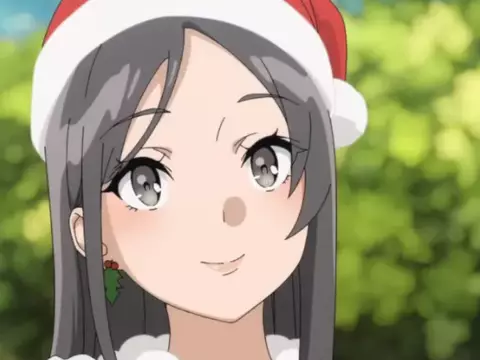 The Rascal Does Not Dream Santa Claus