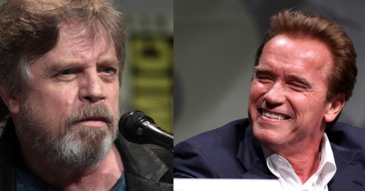 Arnold Schwarzenegger podia ter perdido carreira por culpa de Mark Hamill -  Atualidade - SAPO Mag