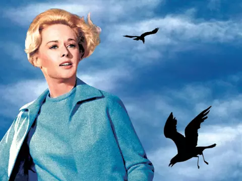 Los pájaros, clásico de Alfred Hitchcock, tendrá reboot en formato de serie limitada en HBO Max