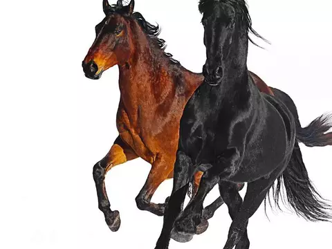 "Old Town Road" bate recorde de hip-hop com 13 semanas no topo das paradas
