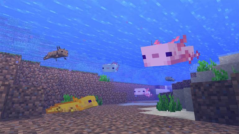 Atualização de Minecraft contará com lhamas e caça a tesouro; confira