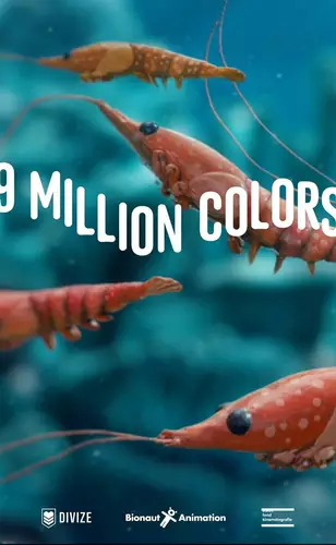 Em 9 Milhões de Cores, se ver pelos olhos de outro também é uma prova de amor