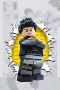 DC Lego capa 7
