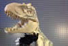 Jurassic World 15Nov2014 D Rex 02