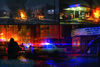 Last of Us 11Out2013 10