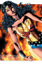Wonder Woman Sensation preview 3