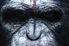 Planeta dos Macacos O Despertar poster 11dez2013 03