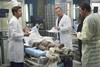 Greys Anatomy 10a temporada 02