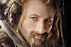 O Hobbit Fili poster