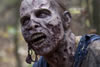The Walking Dead 23Mar2014 2