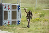 The Walking Dead S03E10 Home 04