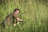 The Walking Dead S03E10 Home 06
