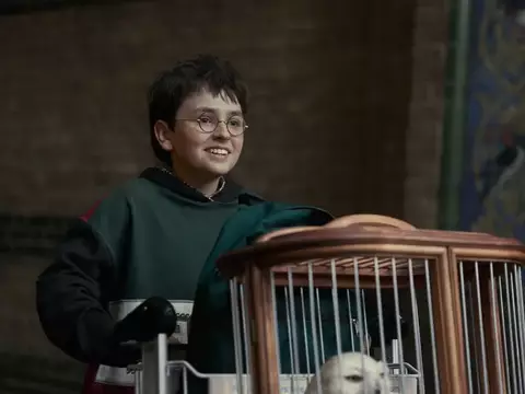 Harry Potter