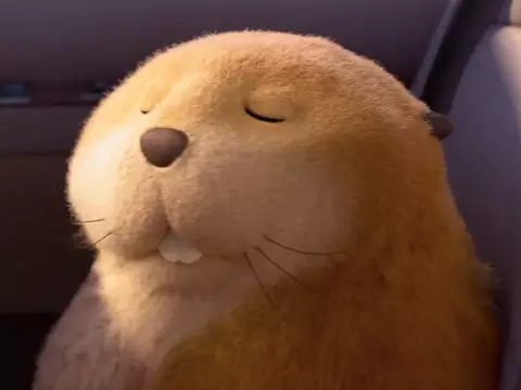 Cara de Um, Focinho do Outro, novo filme da Pixar, ganha trailer fofo; veja