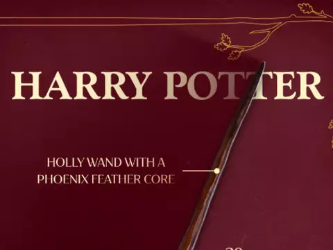 Harry Potter: Varinhas explicadas | Harry, Rony, Hermione, Draco e Neville