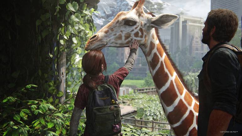 Ellie acaricia girafa.