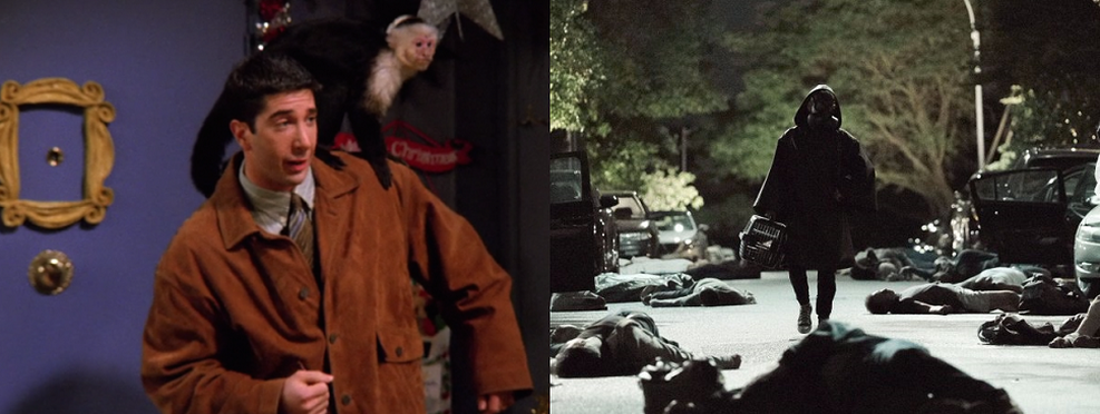 Y: O Ãltimo Homem terÃ¡ Marcel, o macaco de Friends