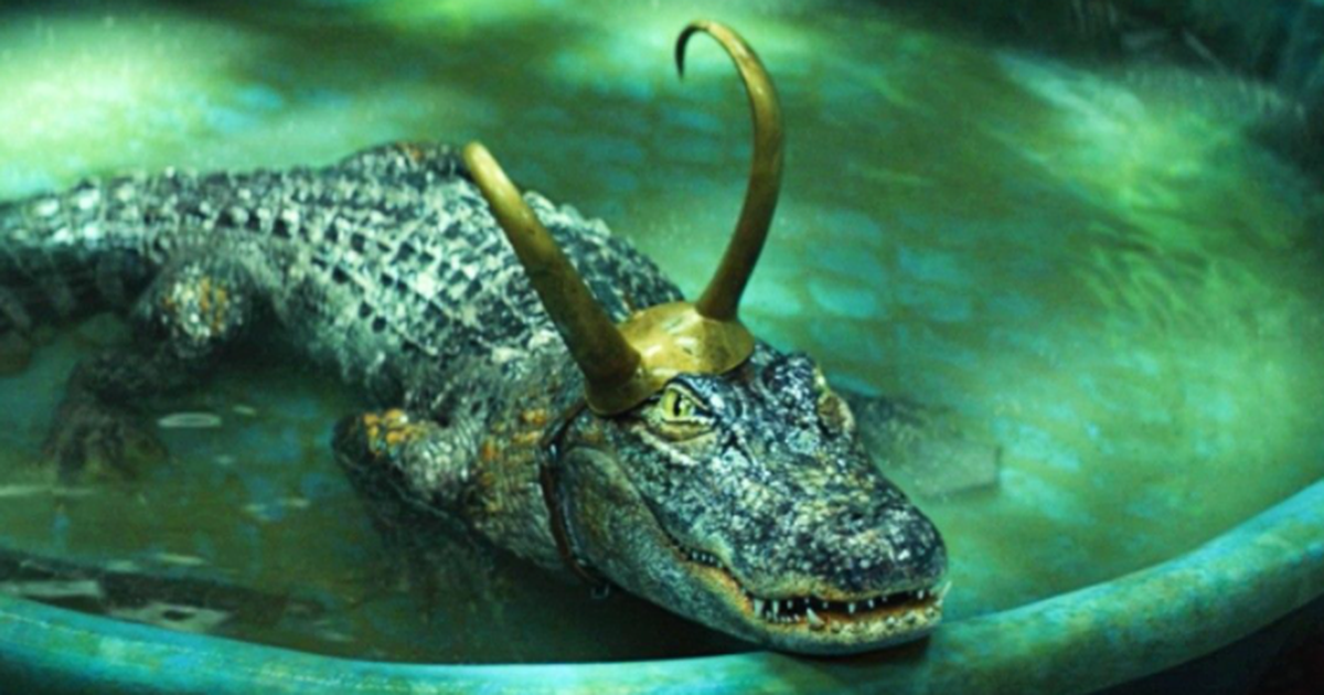 Loki teve bolo no formato do Deus da Trapaça jacaré nos bastidores - Vimarsana News
