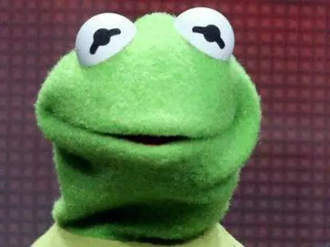 Os Muppets | Ator de Caco foi afastado por má conduta, diz estúdio