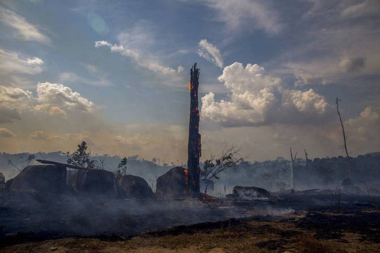 Amazônia queimada