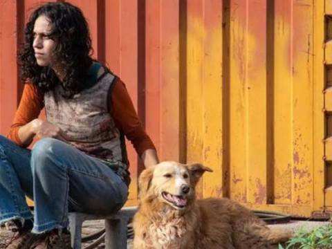 Suçuarana é bom road movie à brasileira com toque de terror fantasmagórico