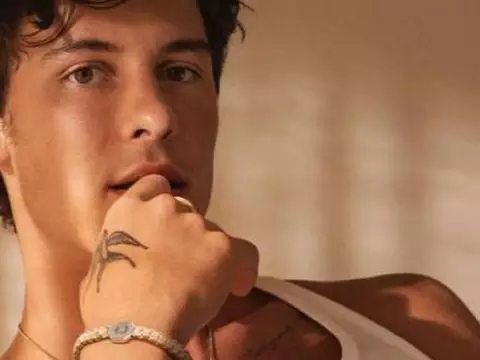 Shawn Mendes é o headliner de hoje (29) no Lollapalooza 2025 (Reprodução)