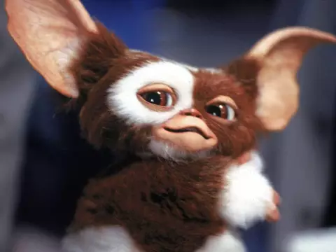 Gremlins | Gizmo quase foi o vilão do filme, revela diretor