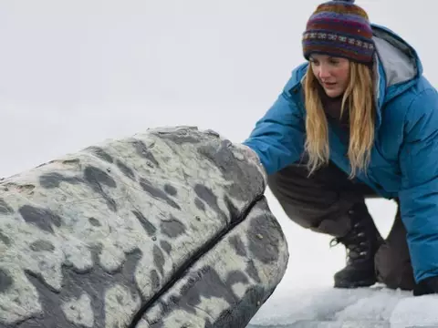 Cena de O Grande Milagre (Divulgação)