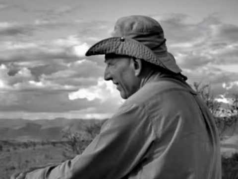 O Sal da Terra: Descubra Como Assistir ao Documentário Sobre Sebastião Salgado