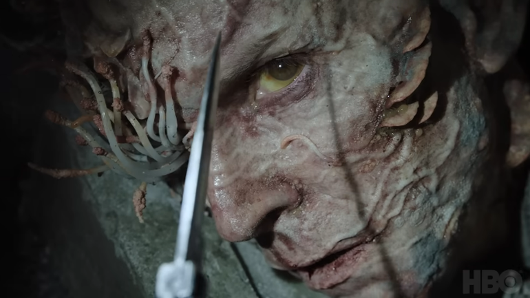 The Last of Us: fungo ''zumbi'' da série existe na vida real; entenda
