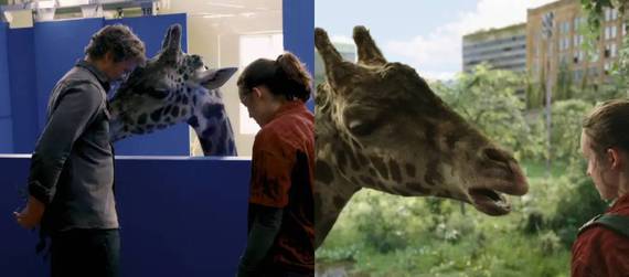 The Last of Us: making of revela girafa real em cena do último