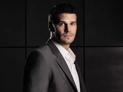 David Boreanaz