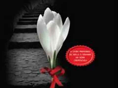 Nova adaptação de Morro dos Ventos Uivantes terá diretora premiada em Cannes