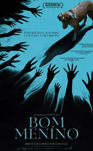 Bom Menino | “Terror do doguinho” assusta e encanta com aula de montagem